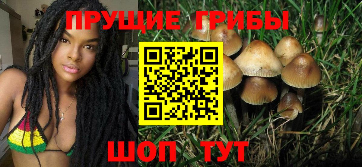 Галлюциногенные грибы Magic Shrooms Александров