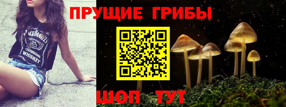 Псилоцибиновые грибы MAGIC MUSHROOMS  Вход с VPN  Александров 